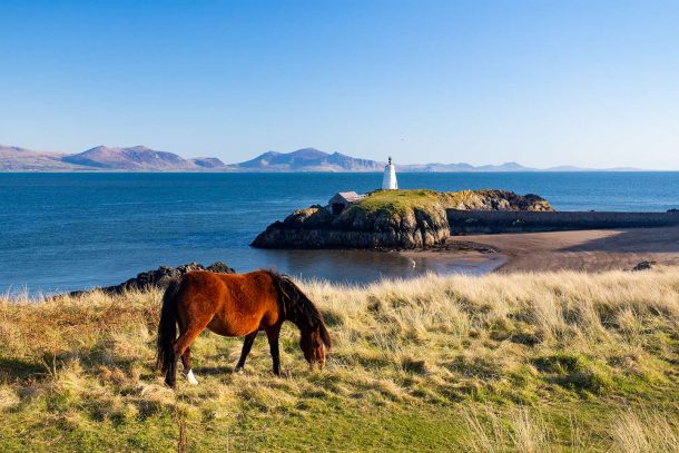 22 Incredible Landscapes In Wales