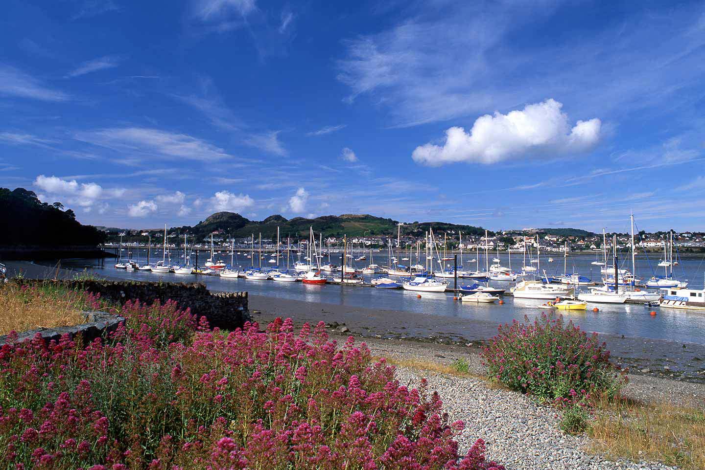 Image of Conwy river from the Quay North Wales UK