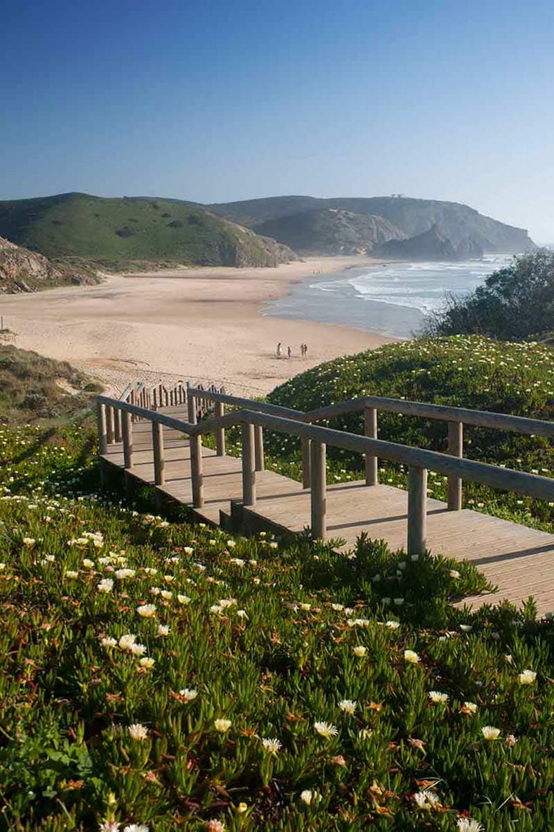 image of footpath down to praia do amado beach algarve portugal