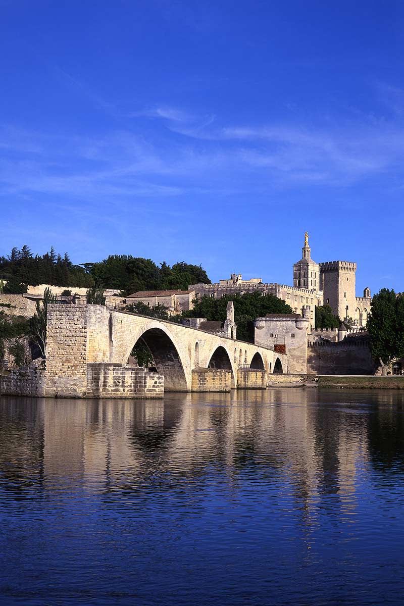 image of ont d'avignon and cathedral avignon france