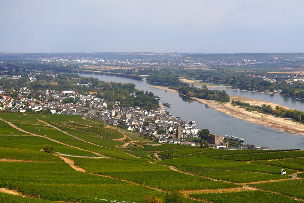 image of rudesheim, vineyards and rkiver rhine from chairlift above town germany