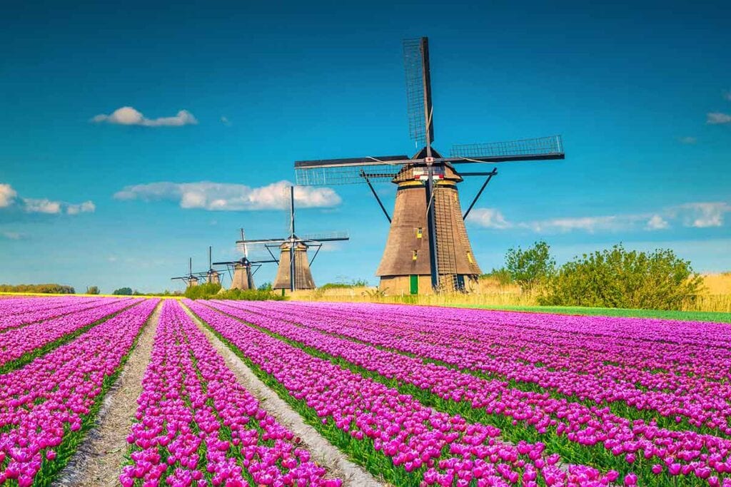 Springtime In Europe 10 Best Places To See Spring Flowers In Europe