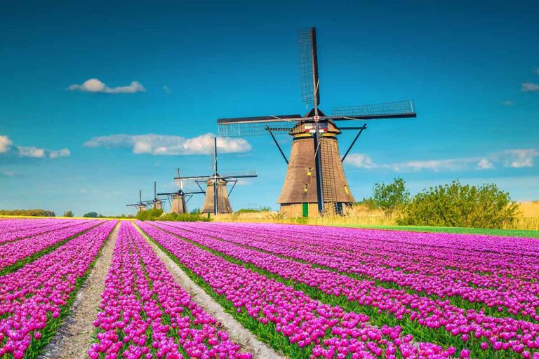Spring In Europe 10 Best Places To See Spring Flowers In Europe