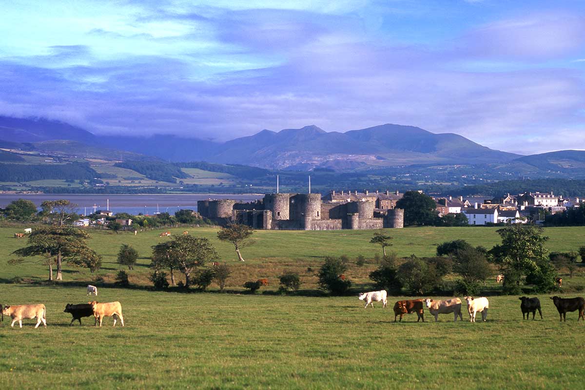 image of Beaumaris Castle with snowdonia in background anglesey north Wales uk